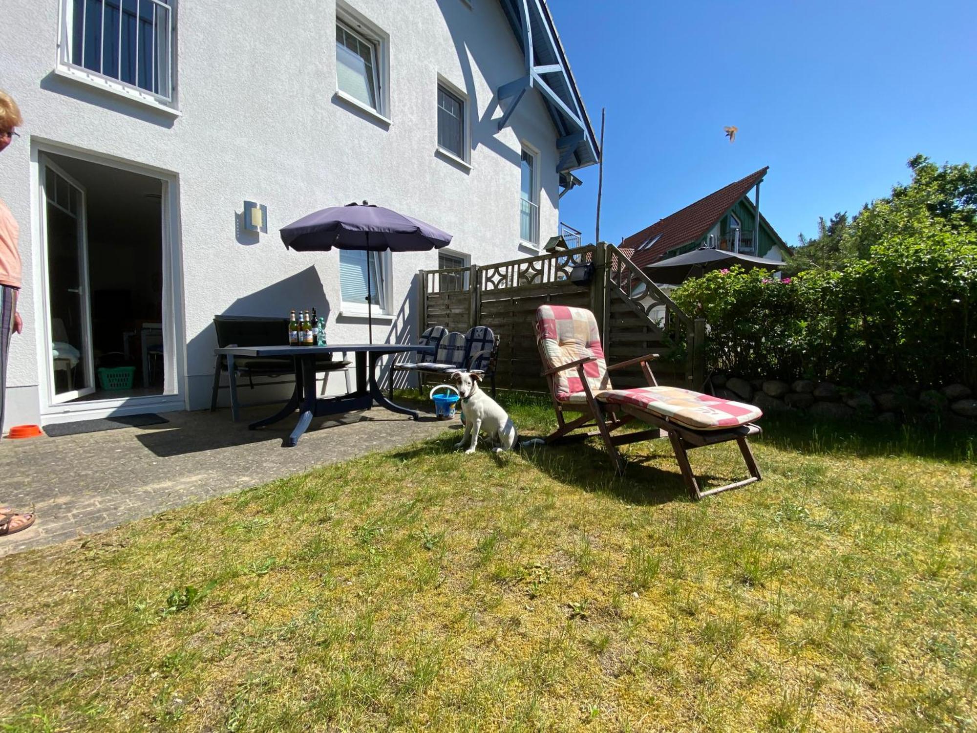 Duenenresidenz Karlshagen - Ferienwohnung Ginsterweg 外观 照片