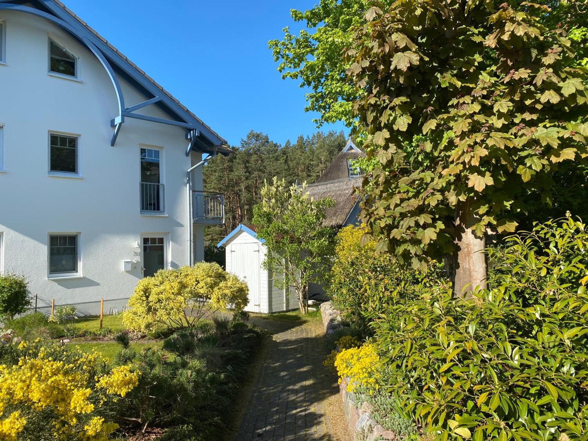 Duenenresidenz Karlshagen - Ferienwohnung Ginsterweg 外观 照片