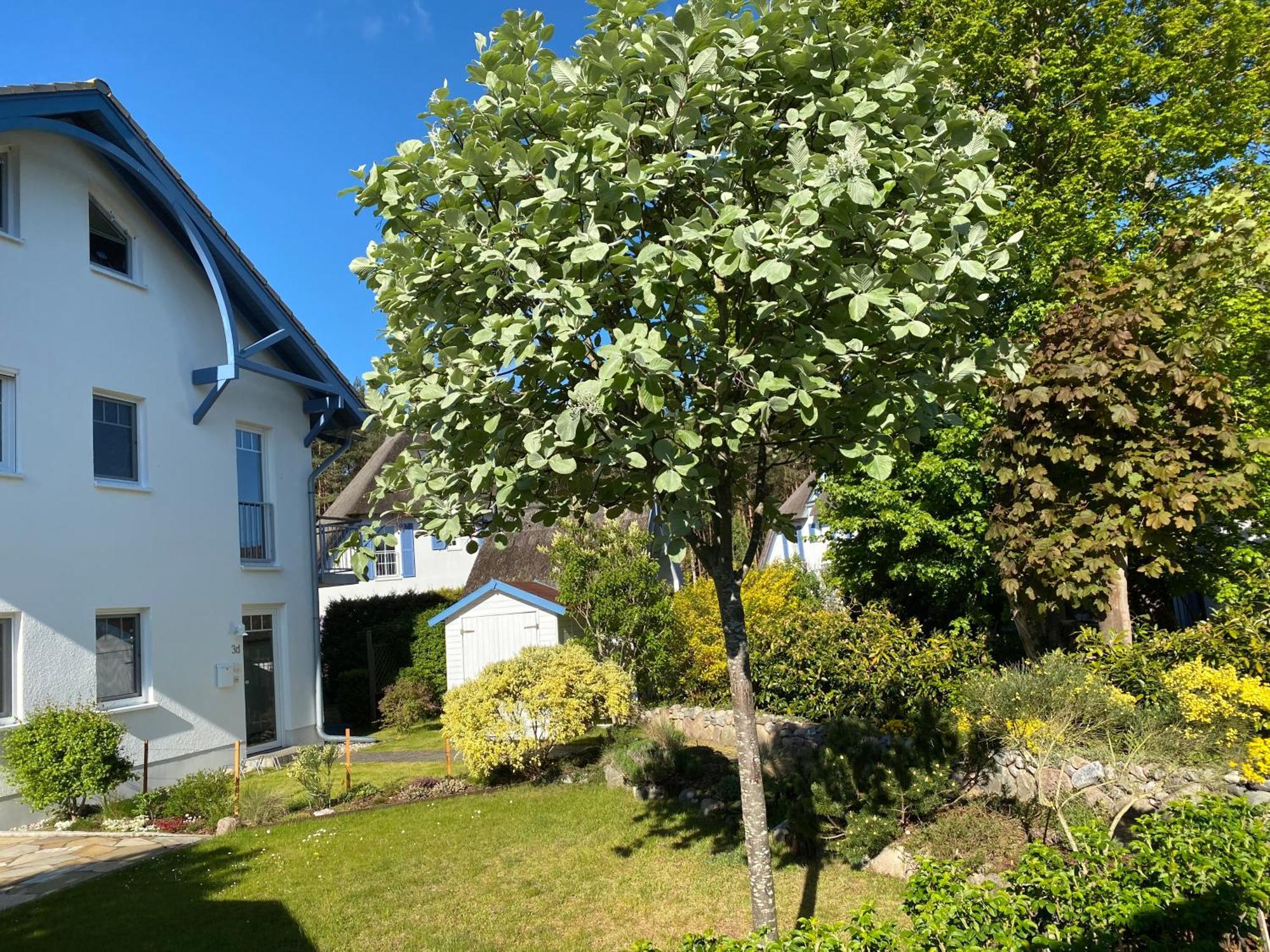 Duenenresidenz Karlshagen - Ferienwohnung Ginsterweg 外观 照片